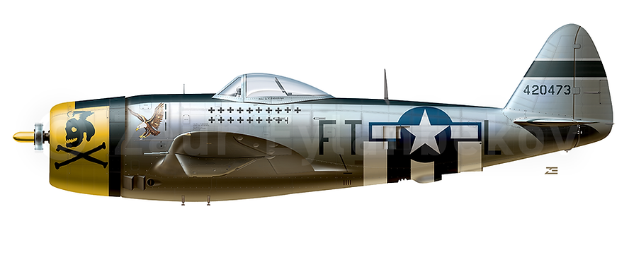P-47_Preview.png