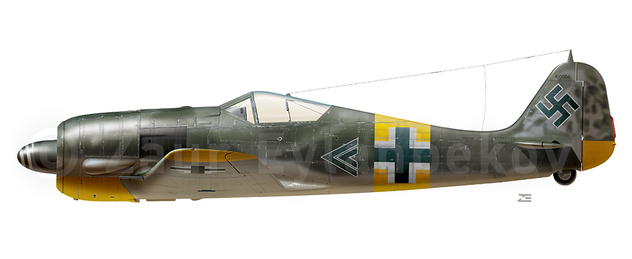 Fw190_Preview.png
