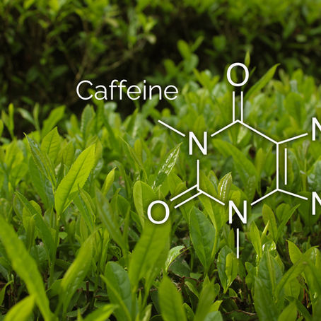Caffeine in Tea: Debunking Myths