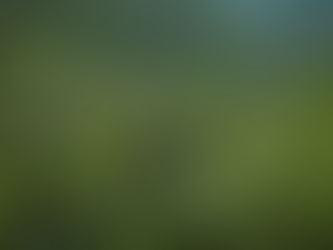 Chemical Composition of Tea