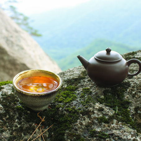 A Guide to Brewing Techniques and Teaware