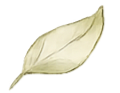 ChatGPT Image 28_edited.png