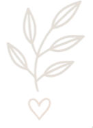 8e71ee28-70f2-4801-bb47-4c7f27a64495_edited_edited.png