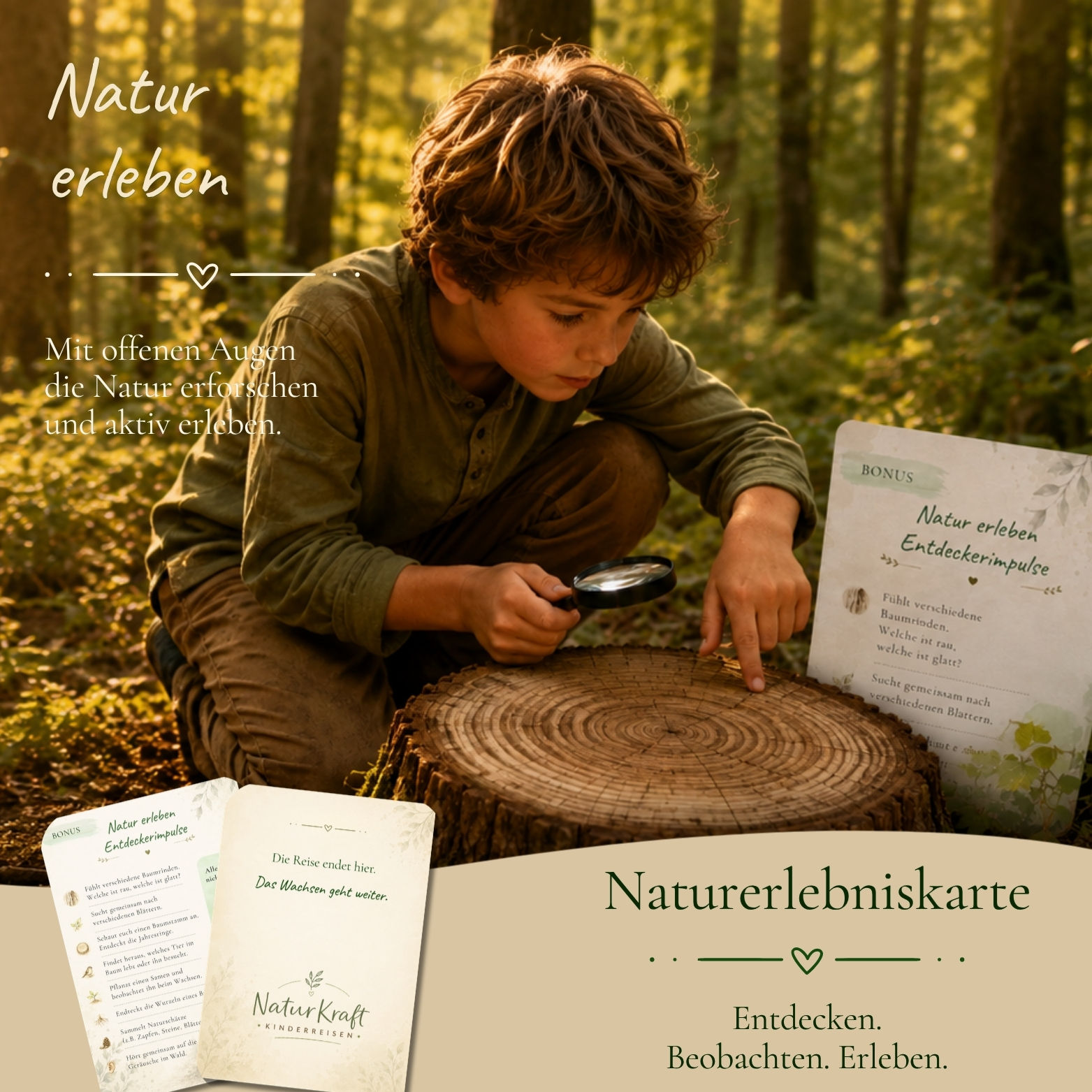 Vom Samenkorn zum starken Baum - Fantasiereise + Erlebniskarten