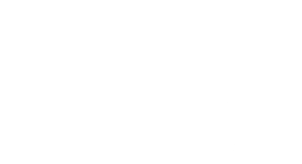 logo-lt-white.png