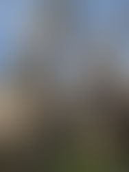 DON'T MISS! Exploring Tintern Abbey: A Spectacular Site Nestled in Monmouthshire, Wales.