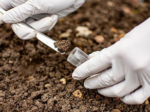 Understanding soil contamination