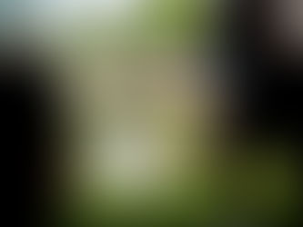 Warum Unternehmen Social Media brauchen