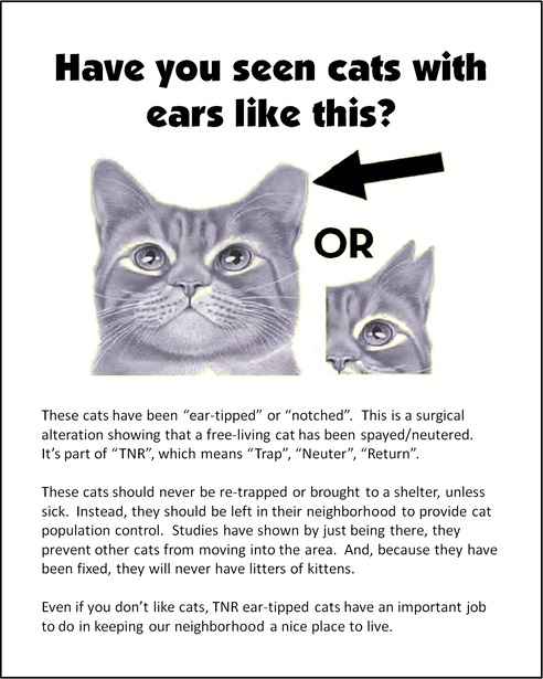 tnr_ear-tipped.png
