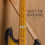 Thumbnail: Fender Precision Bass - Sting Signature - Japan - Sunburst nitro relic (2006)