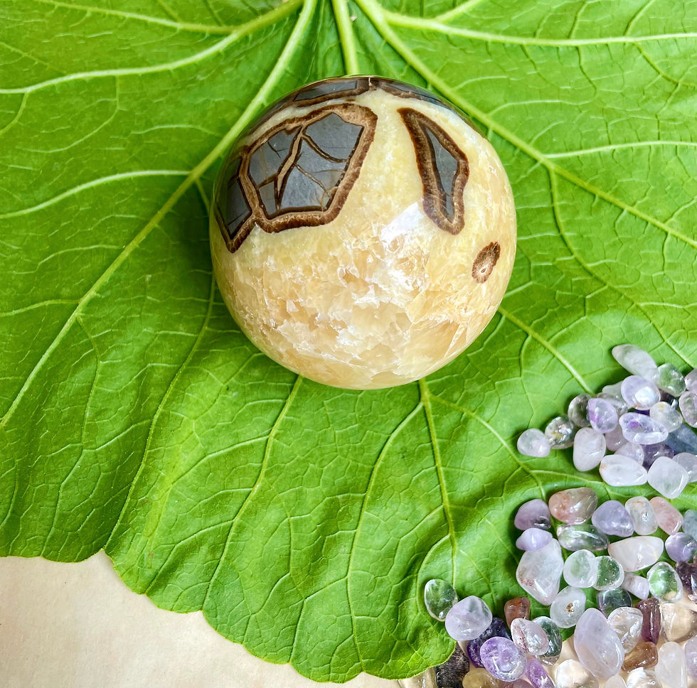 Thumbnail: Septarian Nodule Sphere