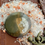 Thumbnail:  Ammonite