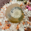 Thumbnail:  Ammonite