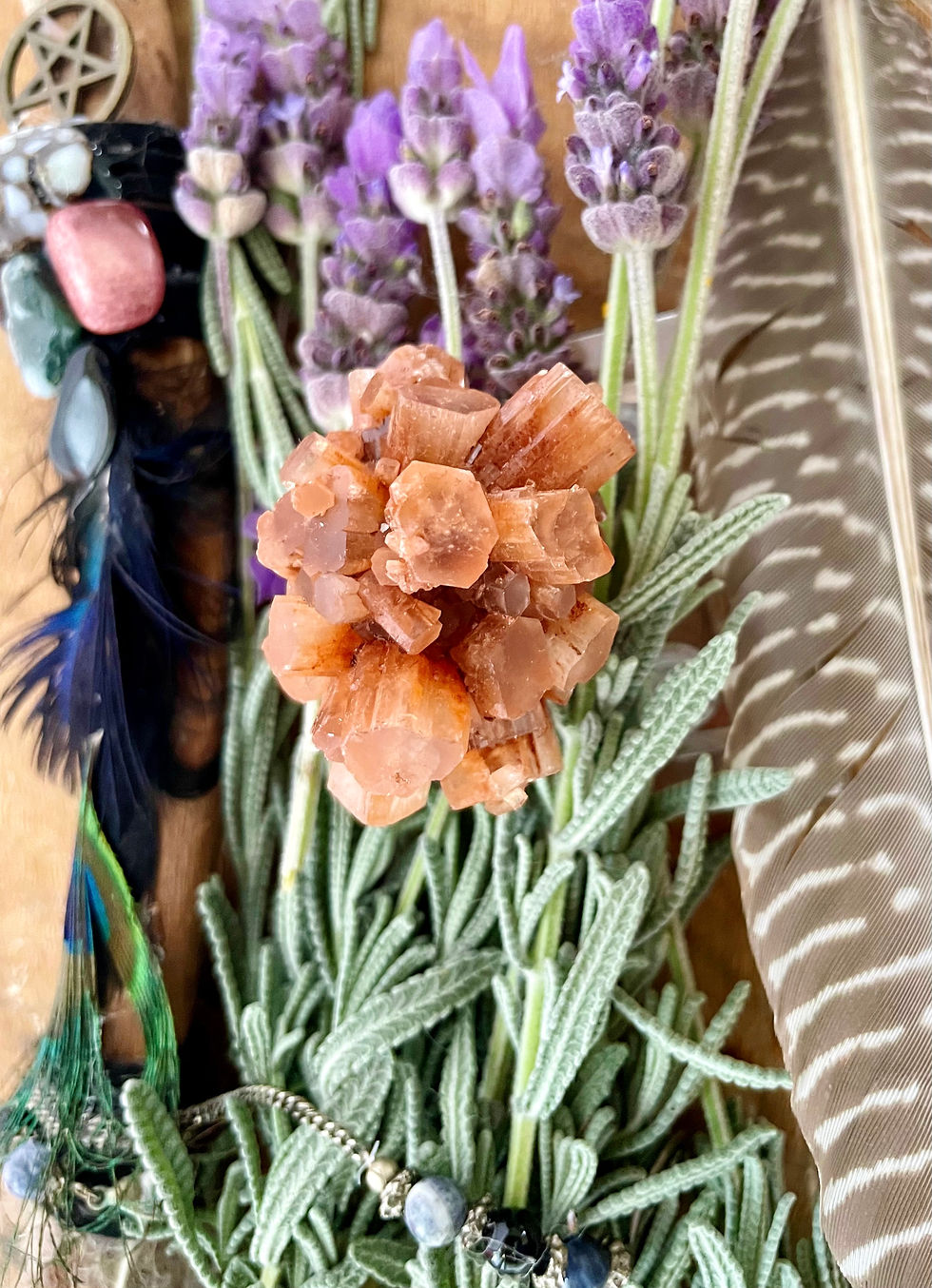 Thumbnail: Aragonite Sputnik