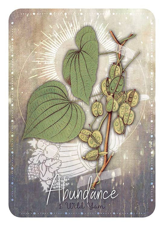 Thumbnail: Magickal Herb Oracle