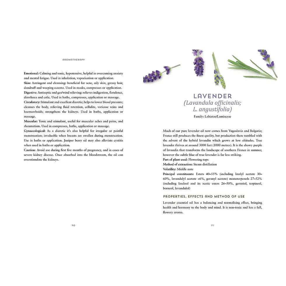 Thumbnail: Essential Oils: Your Aromatherapy Guide To Ayurvedic Healing

