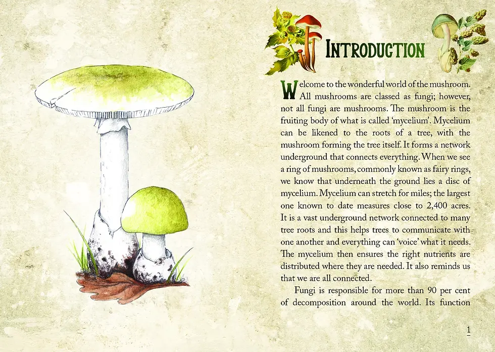 Thumbnail:  Mushroom Spirit Oracle 