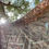 Thumbnail: EGILDA WRAP