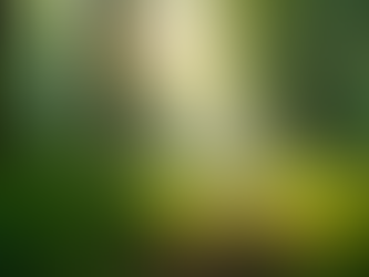 The Importance of Sustainable Living in Today's World