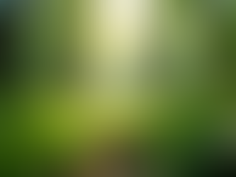 The Importance of Sustainable Living in Today's World