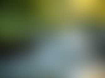 The Art of Mindful Living