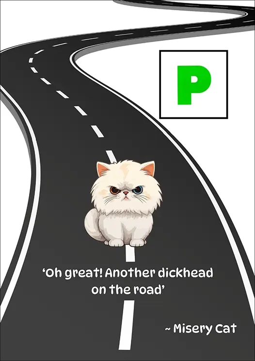 Thumbnail: Humour Card Front - "Oh great! Another dickhead on the road ~Misery Cat" sitting on a winding road