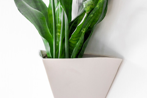 terrarium for plants DIY Terrarium Kit - Create your own mini Ecosystem