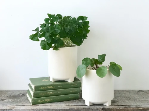 Table Pot Footed Porcelain Tabletop Planter Modern White Ceramic Plant Pot ...