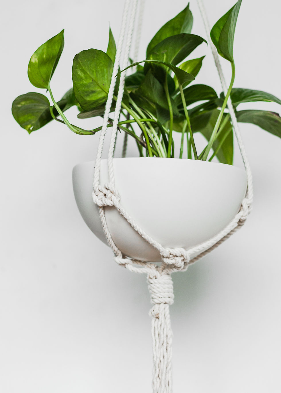 Thumbnail: Modern Macrame Hanging Planters White Natural Cotton Macrame Plant Hanger
