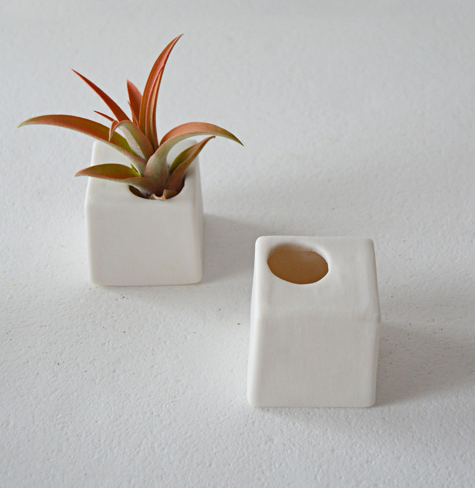 Thumbnail: Small Square Ceramic White Porcelain Air Plant Holder