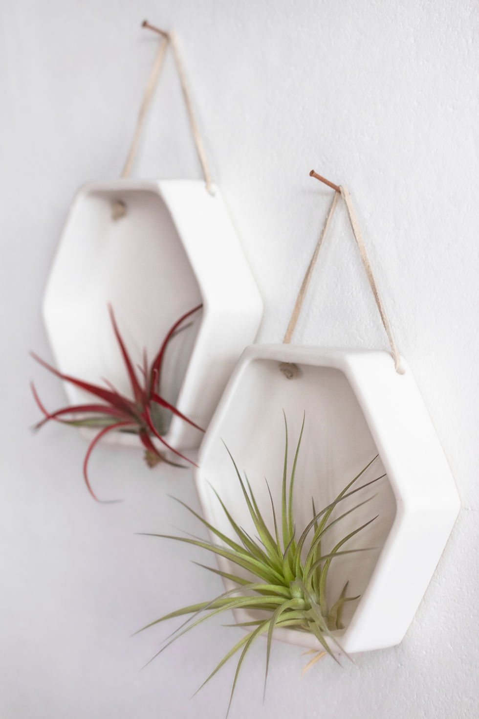 Thumbnail: White Ceramic Hexagon Wall Air Plant Holder Handmade Design