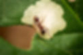 RY7A8410.jpg