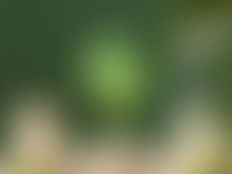 L'hygiène énergétique