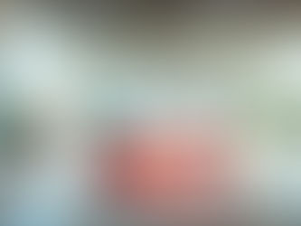 Test Article 4