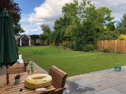 a new lawn