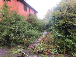 Wetheringsett clearance