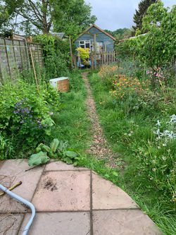 Woodbridge before - new path