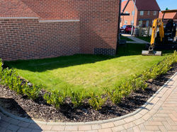 Framlingham front garden before