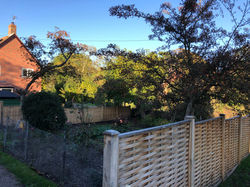 Debenham new oak fence