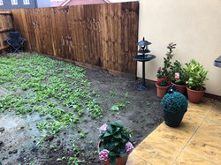 small lawn - before