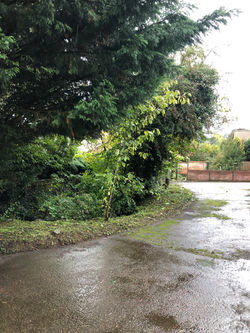 Wetheringsett clearance