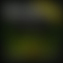 Episode 97 - 'The Festival'  [TEASER]