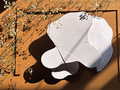 WhatsApp Image 2025-12-17 at 10.21_edited.jpg