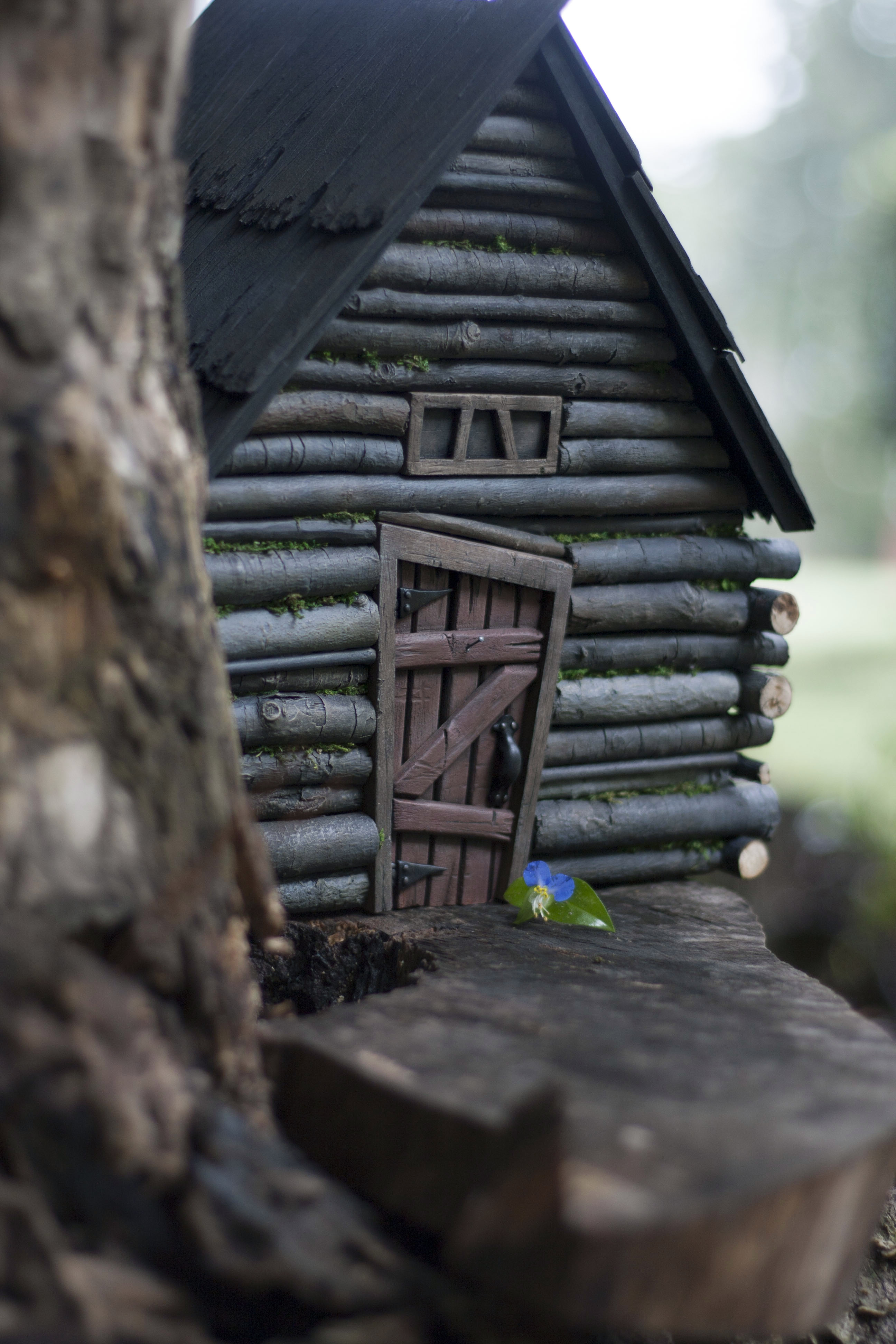 Log Cabin