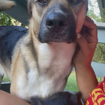 Benny