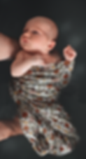 Z63_0275.PNG