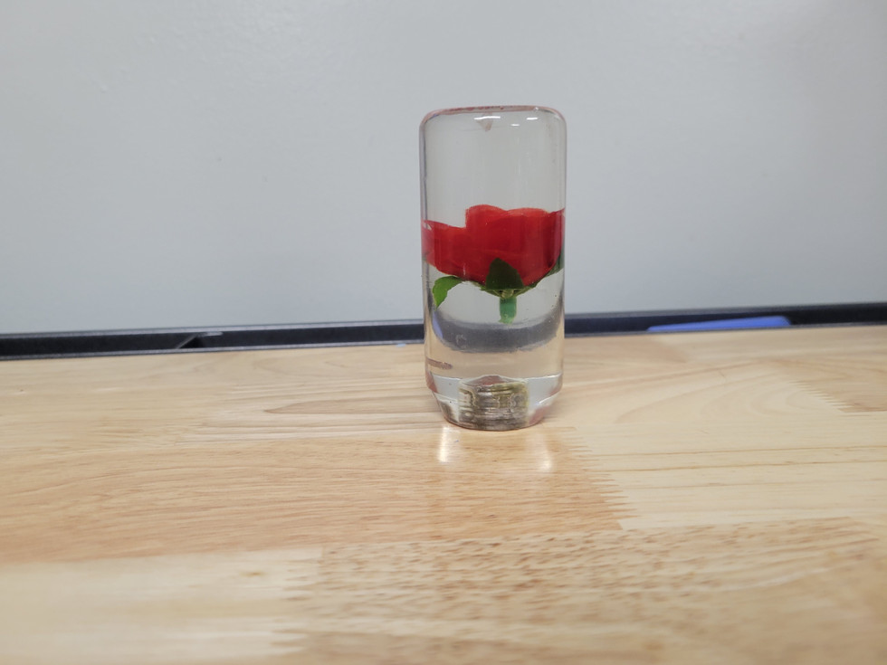 20240304_201514.jpg
