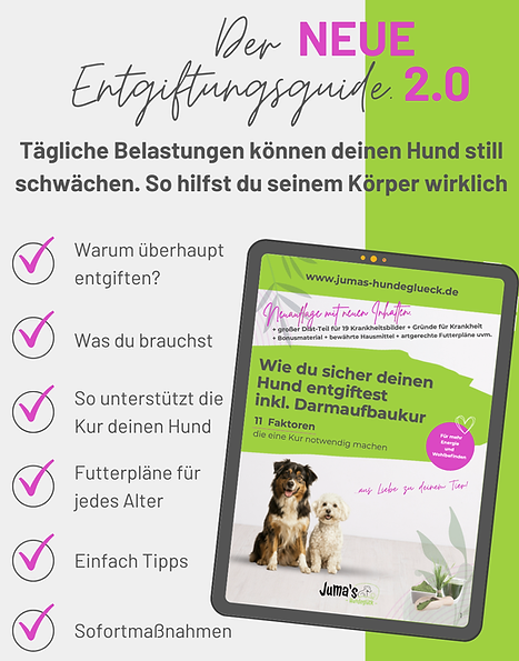 Mockup Entgiftungsguide (2).png