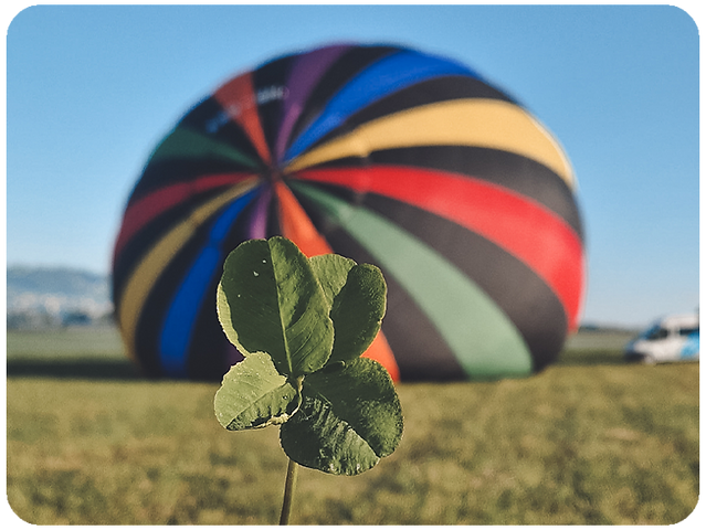 Kleeblatt vor Heissluftballon – Ballonfahrt Schweiz als besonderes Erlebnis