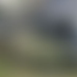 Wir haben Umgebaut – für noch besseren Service